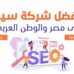 أفضل شركة سيو في مصر والوطن العربي (Seo agency)